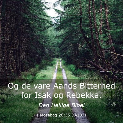 Picture 03 - 1 Mosebog 26:35 DA1871 - Og de vare Aands Bitterhed for Isak og - Bible Verse Picture
