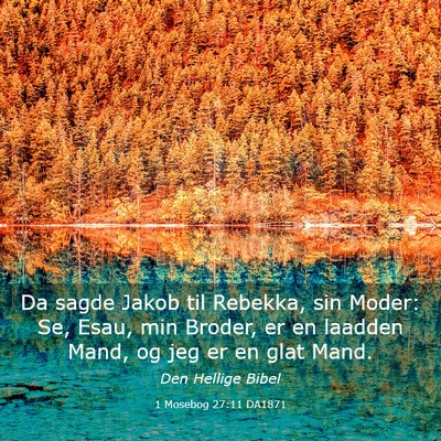 Picture 03 - 1 Mosebog 27:11 DA1871 - Da sagde Jakob til Rebekka, sin Moder: Se, Esau, - Bible Verse Picture