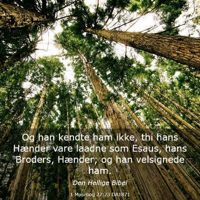 Picture 03 - 1 Mosebog 27:23 DA1871 - Og han kendte ham ikke, thi hans Hænder vare - Bible Verse Picture