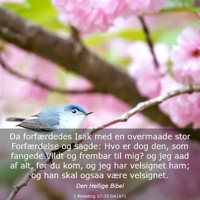 Picture 03 - 1 Mosebog 27:33 DA1871 - Da forfærdedes Isak med en overmaade stor - Bible Verse Picture