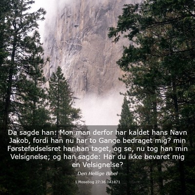 Picture 03 - 1 Mosebog 27:36 DA1871 - Da sagde han: Mon man derfor har kaldet hans Navn - Bible Verse Picture