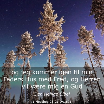 Picture 03 - 1 Mosebog 28:21 DA1871 - og jeg kommer igen til min Faders Hus med Fred, - Bible Verse Picture