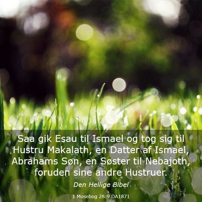 Picture 03 - 1 Mosebog 28:9 DA1871 - Saa gik Esau til Ismael og tog sig til Hustru - Bible Verse Picture