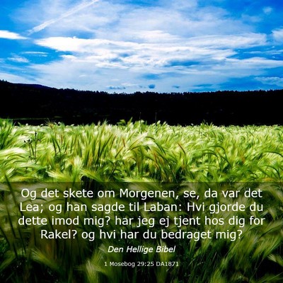 Picture 03 - 1 Mosebog 29:25 DA1871 - Og det skete om Morgenen, se, da var det Lea; og - Bible Verse Picture