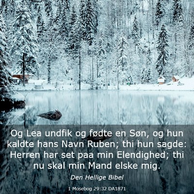 Picture 03 - 1 Mosebog 29:32 DA1871 - Og Lea undfik og fødte en Søn, og hun kaldte - Bible Verse Picture