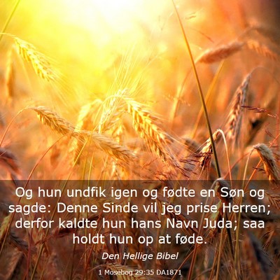 Picture 03 - 1 Mosebog 29:35 DA1871 - Og hun undfik igen og fødte en Søn og sagde: - Bible Verse Picture