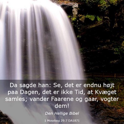 Picture 03 - 1 Mosebog 29:7 DA1871 - Da sagde han: Se, det er endnu højt paa Dagen, - Bible Verse Picture