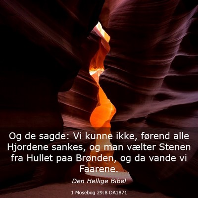 Picture 03 - 1 Mosebog 29:8 DA1871 - Og de sagde: Vi kunne ikke, førend alle Hjordene - Bible Verse Picture