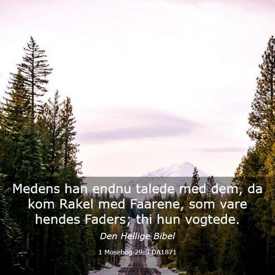 Picture 03 - 1 Mosebog 29:9 DA1871 - Medens han endnu talede med dem, da kom Rakel med - Bible Verse Picture