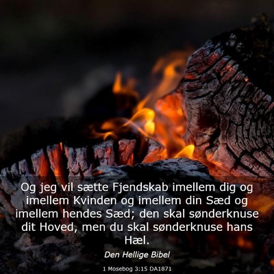 Picture 03 - 1 Mosebog 3:15 DA1871 - Og jeg vil sætte Fjendskab imellem dig og - Bible Verse Picture