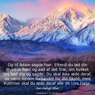Picture 03 - 1 Mosebog 3:17 DA1871 - Og til Adam sagde han: Efterdi du lød din - Bible Verse Picture