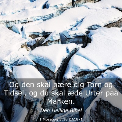 Picture 03 - 1 Mosebog 3:18 DA1871 - Og den skal bære dig Torn og Tidsel, og du skal - Bible Verse Picture