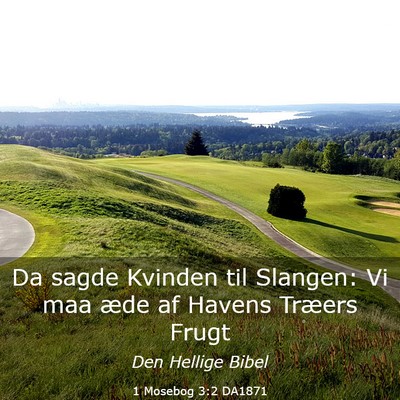 Picture 03 - 1 Mosebog 3:2 DA1871 - Da sagde Kvinden til Slangen: Vi maa æde af - Bible Verse Picture