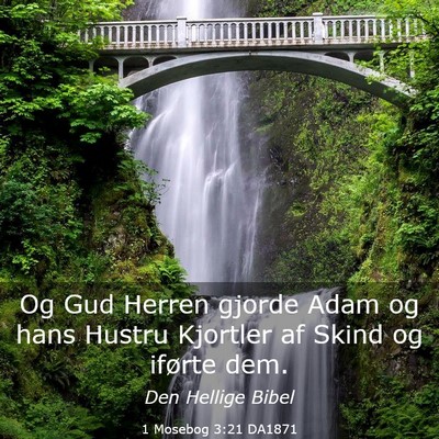 Picture 03 - 1 Mosebog 3:21 DA1871 - Og Gud Herren gjorde Adam og hans Hustru Kjortler - Bible Verse Picture