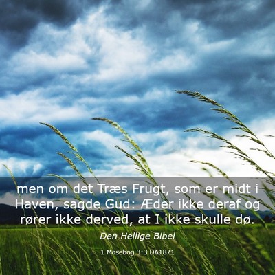 Picture 03 - 1 Mosebog 3:3 DA1871 - men om det Træs Frugt, som er midt i Haven, - Bible Verse Picture
