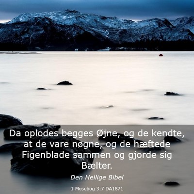 Picture 03 - 1 Mosebog 3:7 DA1871 - Da oplodes begges Øjne, og de kendte, at de vare - Bible Verse Picture