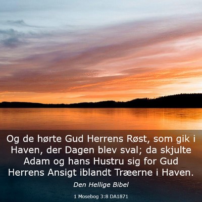 Picture 03 - 1 Mosebog 3:8 DA1871 - Og de hørte Gud Herrens Røst, som gik i Haven, - Bible Verse Picture