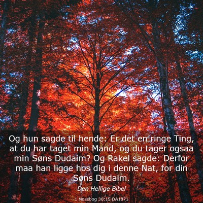 Picture 03 - 1 Mosebog 30:15 DA1871 - Og hun sagde til hende: Er det en ringe Ting, at - Bible Verse Picture