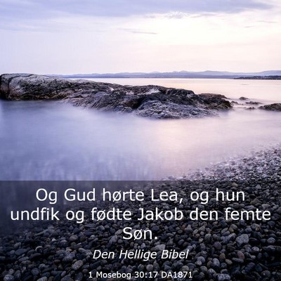 Picture 03 - 1 Mosebog 30:17 DA1871 - Og Gud hørte Lea, og hun undfik og fødte Jakob - Bible Verse Picture