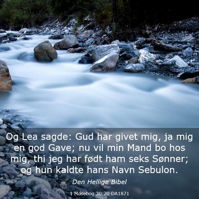 Picture 03 - 1 Mosebog 30:20 DA1871 - Og Lea sagde: Gud har givet mig, ja mig en god - Bible Verse Picture