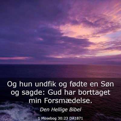Picture 03 - 1 Mosebog 30:23 DA1871 - Og hun undfik og fødte en Søn og sagde: Gud har - Bible Verse Picture