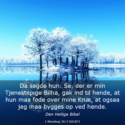 Picture 03 - 1 Mosebog 30:3 DA1871 - Da sagde hun: Se, der er min Tjenestepige Bilha, - Bible Verse Picture