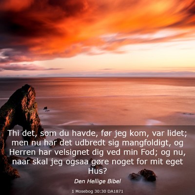 Picture 03 - 1 Mosebog 30:30 DA1871 - Thi det, som du havde, før jeg kom, var lidet; - Bible Verse Picture