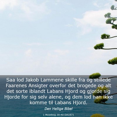 Picture 03 - 1 Mosebog 30:40 DA1871 - Saa lod Jakob Lammene skille fra og stillede - Bible Verse Picture