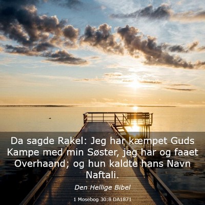Picture 03 - 1 Mosebog 30:8 DA1871 - Da sagde Rakel: Jeg har kæmpet Guds Kampe med - Bible Verse Picture