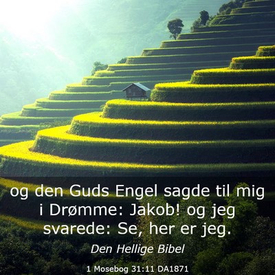 Picture 03 - 1 Mosebog 31:11 DA1871 - og den Guds Engel sagde til mig i Drømme: Jakob! - Bible Verse Picture