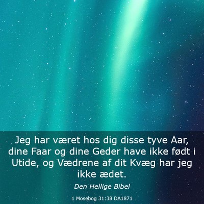 Picture 03 - 1 Mosebog 31:38 DA1871 - Jeg har været hos dig disse tyve Aar, dine Faar - Bible Verse Picture