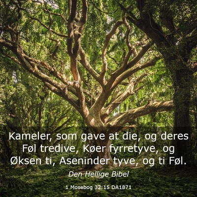 Picture 03 - 1 Mosebog 32:15 DA1871 - Kameler, som gave at die, og deres Føl tredive, - Bible Verse Picture