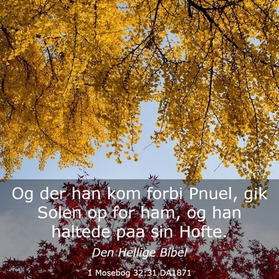 Picture 03 - 1 Mosebog 32:31 DA1871 - Og der han kom forbi Pnuel, gik Solen op for ham, - Bible Verse Picture