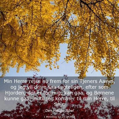 Picture 03 - 1 Mosebog 33:14 DA1871 - Min Herre rejse nu frem for sin Tjeners Aasyn, og - Bible Verse Picture