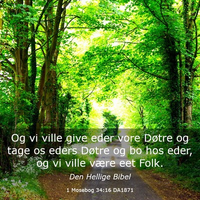 Picture 03 - 1 Mosebog 34:16 DA1871 - Og vi ville give eder vore Døtre og tage os - Bible Verse Picture