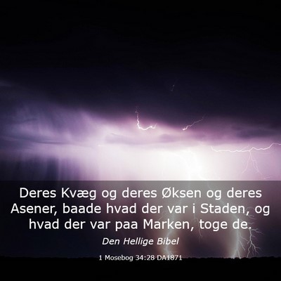 Picture 03 - 1 Mosebog 34:28 DA1871 - Deres Kvæg og deres Øksen og deres Asener, - Bible Verse Picture
