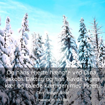 Picture 03 - 1 Mosebog 34:3 DA1871 - Og hans Hjerte hængte ved Dina, Jakobs Datter, - Bible Verse Picture