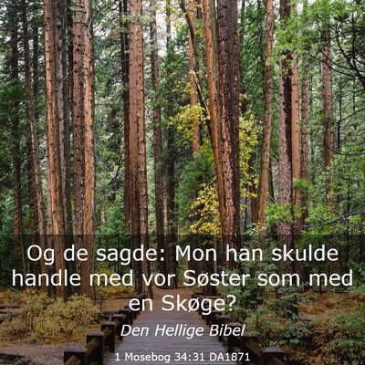 Picture 03 - 1 Mosebog 34:31 DA1871 - Og de sagde: Mon han skulde handle med vor - Bible Verse Picture