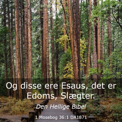 Picture 03 - 1 Mosebog 36:1 DA1871 - Og disse ere Esaus, det er Edoms, - Bible Verse Picture