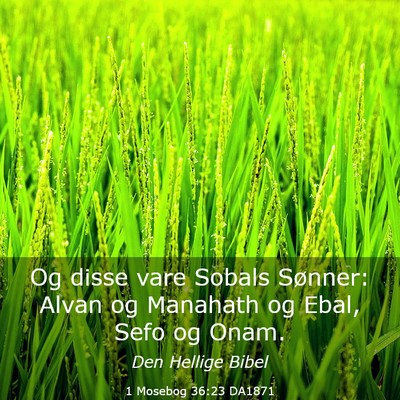 Picture 03 - 1 Mosebog 36:23 DA1871 - Og disse vare Sobals Sønner: Alvan og Manahath - Bible Verse Picture