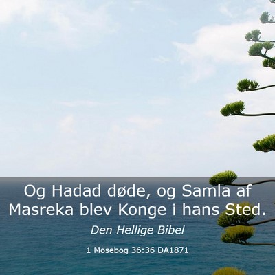 Picture 03 - 1 Mosebog 36:36 DA1871 - Og Hadad døde, og Samla af Masreka blev Konge i - Bible Verse Picture