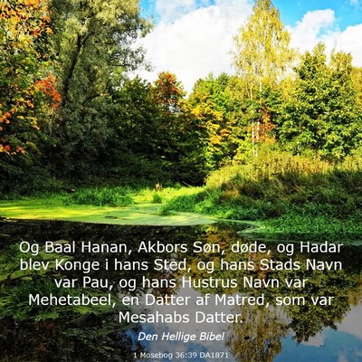 Picture 03 - 1 Mosebog 36:39 DA1871 - Og Baal Hanan, Akbors Søn, døde, og Hadar blev - Bible Verse Picture