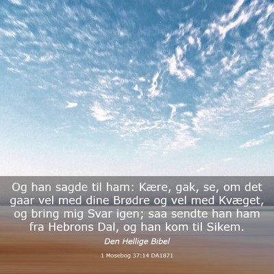 Picture 03 - 1 Mosebog 37:14 DA1871 - Og han sagde til ham: Kære, gak, se, om det gaar - Bible Verse Picture