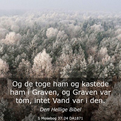 Picture 03 - 1 Mosebog 37:24 DA1871 - Og de toge ham og kastede ham i Graven, og Graven - Bible Verse Picture