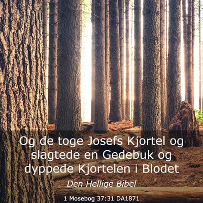 Picture 03 - 1 Mosebog 37:31 DA1871 - Og de toge Josefs Kjortel og slagtede en Gedebuk - Bible Verse Picture