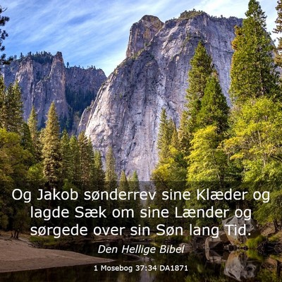 Picture 03 - 1 Mosebog 37:34 DA1871 - Og Jakob sønderrev sine Klæder og lagde Sæk om - Bible Verse Picture