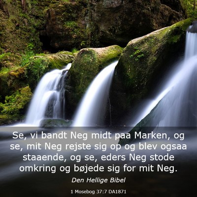 Picture 03 - 1 Mosebog 37:7 DA1871 - Se, vi bandt Neg midt paa Marken, og se, mit Neg - Bible Verse Picture