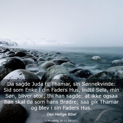 Picture 03 - 1 Mosebog 38:11 DA1871 - Da sagde Juda til Thamar, sin Sønnekvinde: Sid - Bible Verse Picture