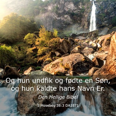 Picture 03 - 1 Mosebog 38:3 DA1871 - Og hun undfik og fødte en Søn, og hun kaldte - Bible Verse Picture