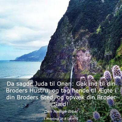 Picture 03 - 1 Mosebog 38:8 DA1871 - Da sagde Juda til Onan: Gak ind til din Broders - Bible Verse Picture